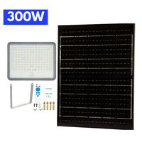 1000W Floodlight