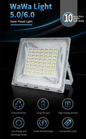 Wawa Floodlight