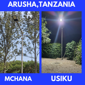 Standard Solar Street Light