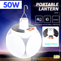 Portable Solar Light